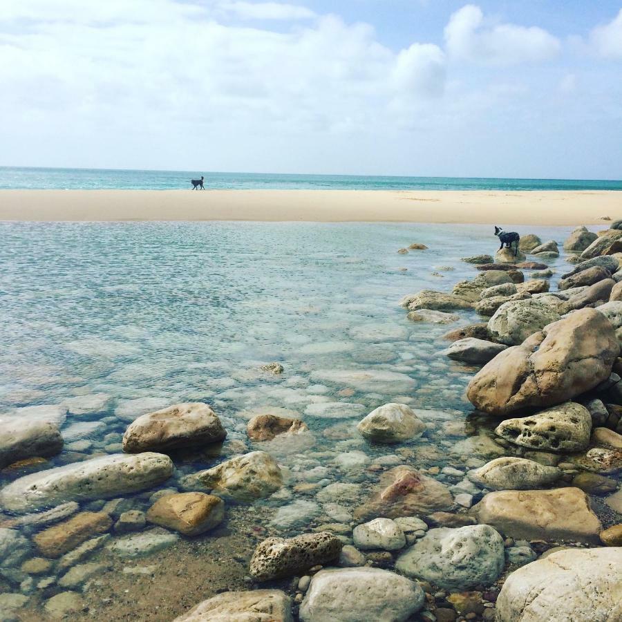 Vakantiehuis Casinhas Da Figueira *