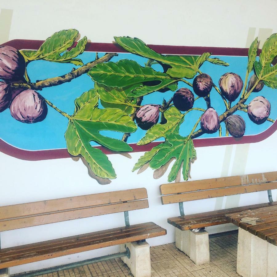 Vakantiehuis Casinhas Da Figueira